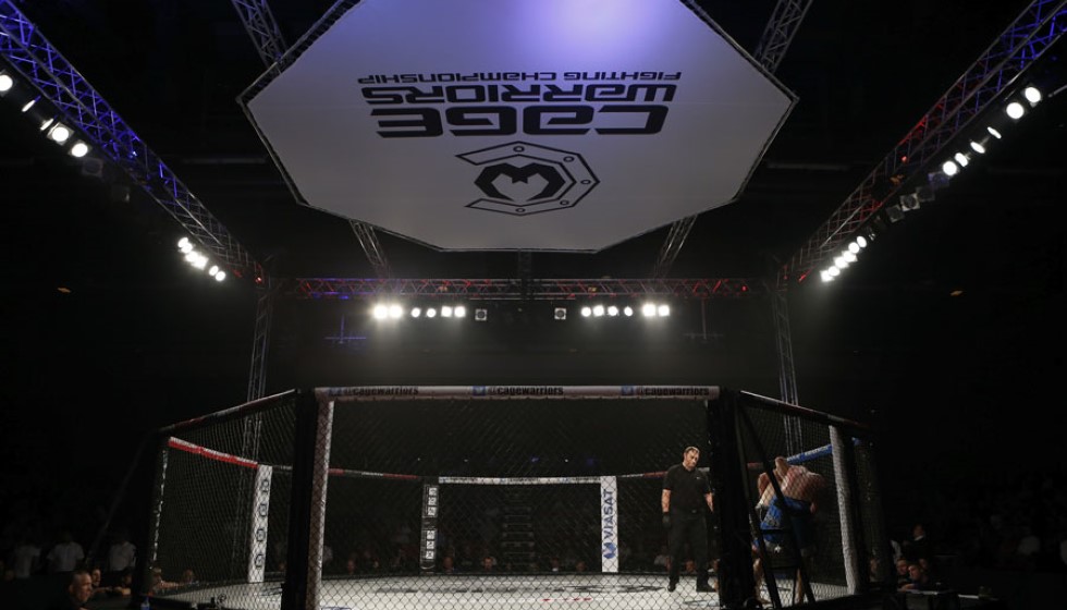 Bud Light to Sponsor UFC in Record-Breaking Deal